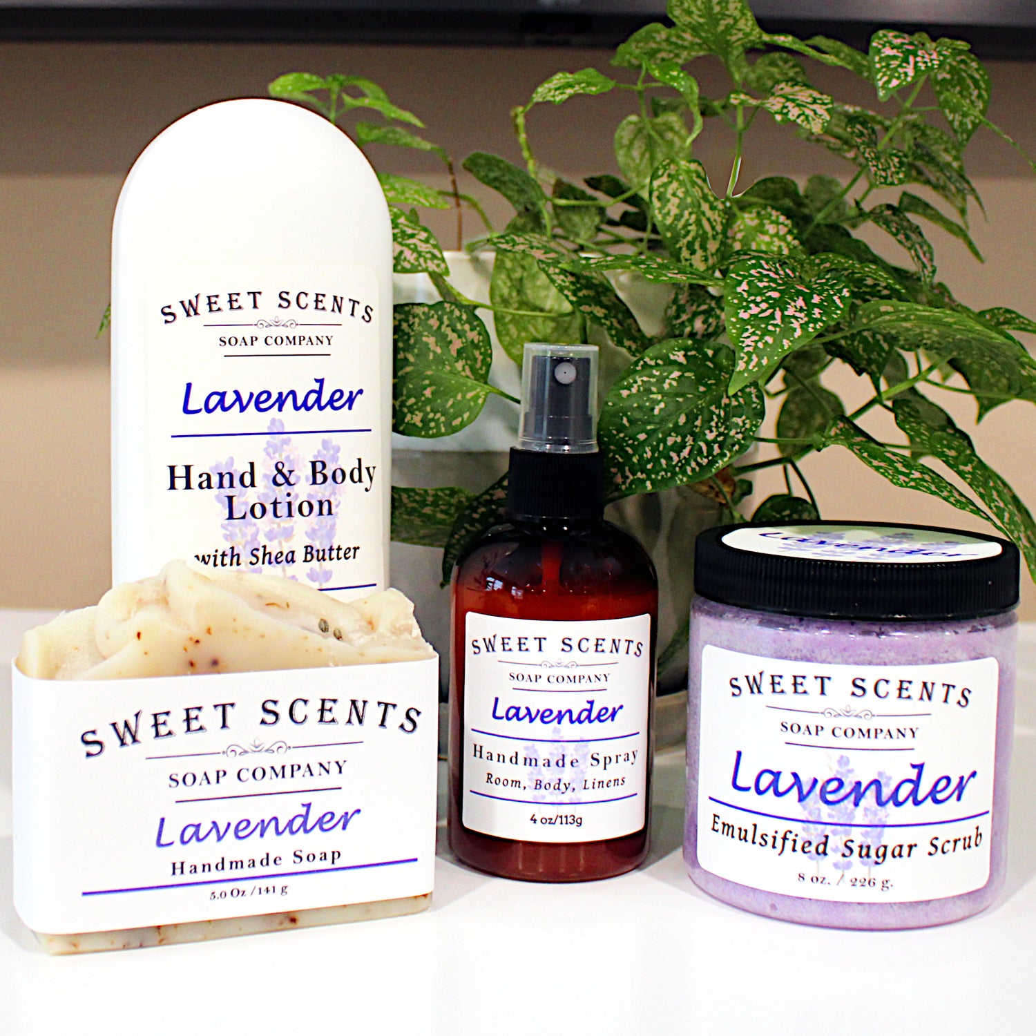 Lavender